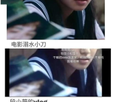 娱乐吃瓜酱书,揭秘娱乐圈幕后故事与明星八卦