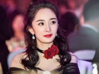 搞事业娱乐圈,砥砺前行，共筑事业辉煌