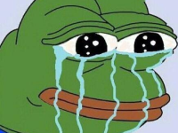 娱乐可爱蛙吃瓜