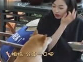吃瓜网娱乐八卦视频,娱乐圈最新八卦视频大放送！