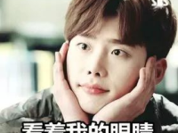 娱乐圈吃瓜好爸爸是谁啊,揭秘明星爸爸们的育儿经