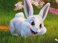 娱乐圈吃瓜第一线十尾兔,十尾兔带你探秘吃瓜第一线