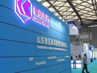 山东鲁抗医药股份有限公司,中国医药工业的领军企业，创新驱动发展新篇章
