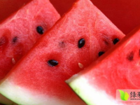 娱乐吃瓜菌的视频怎么拍,视频拍摄幕后技巧大公开