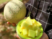 娱乐圈吃瓜名称,那些年我们追过的明星八卦大揭秘