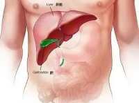 肝炎都有哪些症状,全面了解肝脏炎症的信号